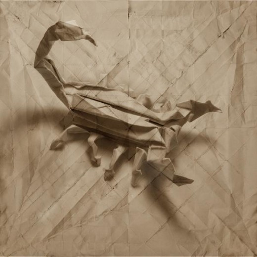 Origami av Marc Fichou